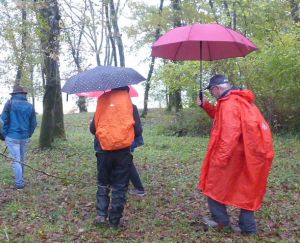 img_variables/diaporamas/evenement1/labastide.jpg image pdf