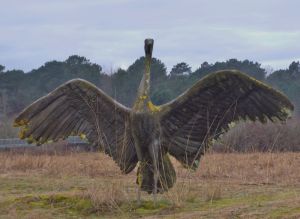 img_variables/diaporamas/evenement6/photoarjuzanx.jpg image pdf